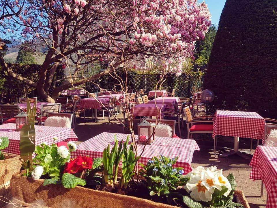 Hotel Restaurant Aux Sapins Танн Екстер'єр фото