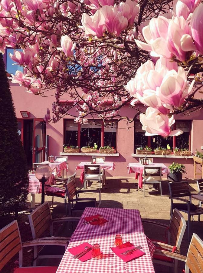 Hotel Restaurant Aux Sapins Танн Екстер'єр фото