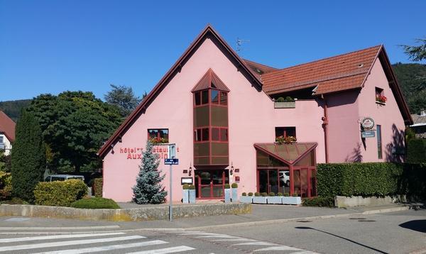 Hotel Restaurant Aux Sapins Танн Екстер'єр фото